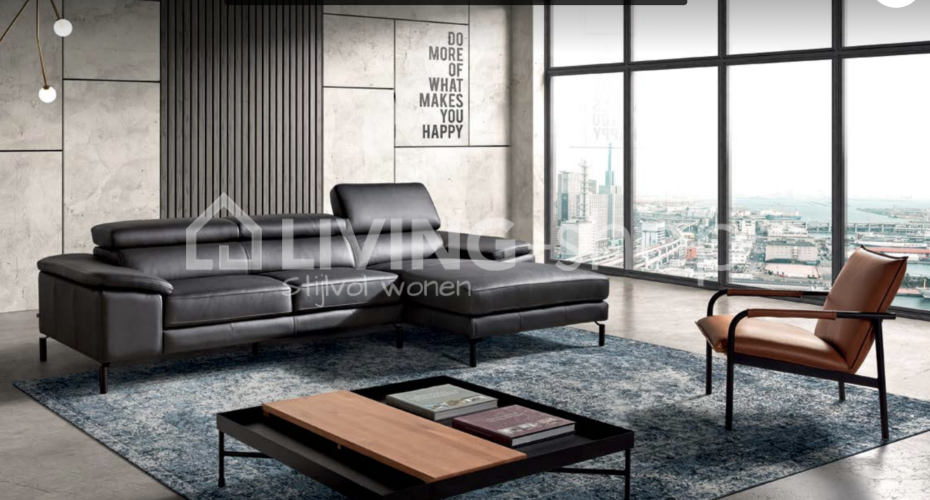 Design leather sofa PR